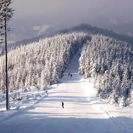 Pod Sedlem Loučná nad Desnou